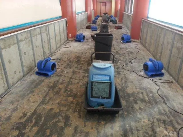 Air movers and a dehumidifier lined down a commercial corridor with the walls cut